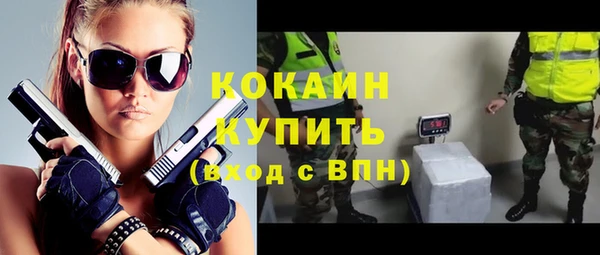 шишки Михайловка