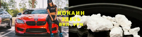шишки Михайловка