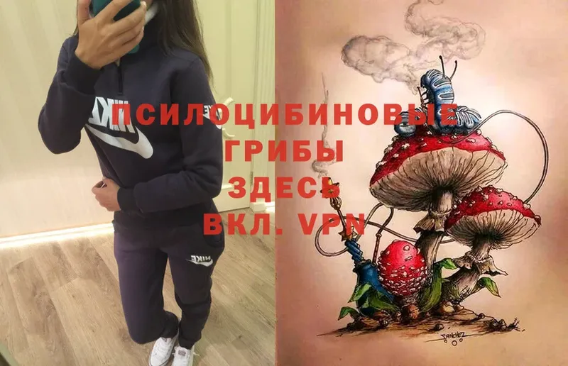 мориарти клад  MEGA   Княгинино  Галлюциногенные грибы Psilocybe 