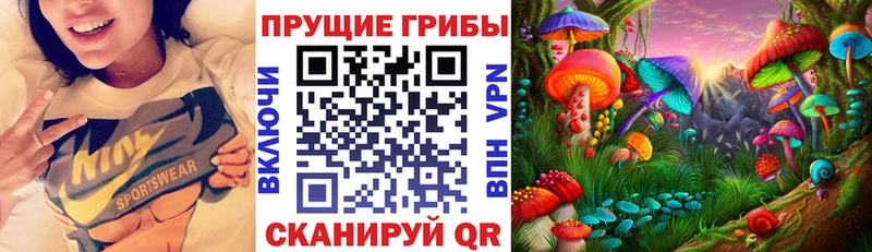Псилоцибиновые грибы Cubensis  Княгинино 